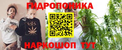 тгк Кулебаки