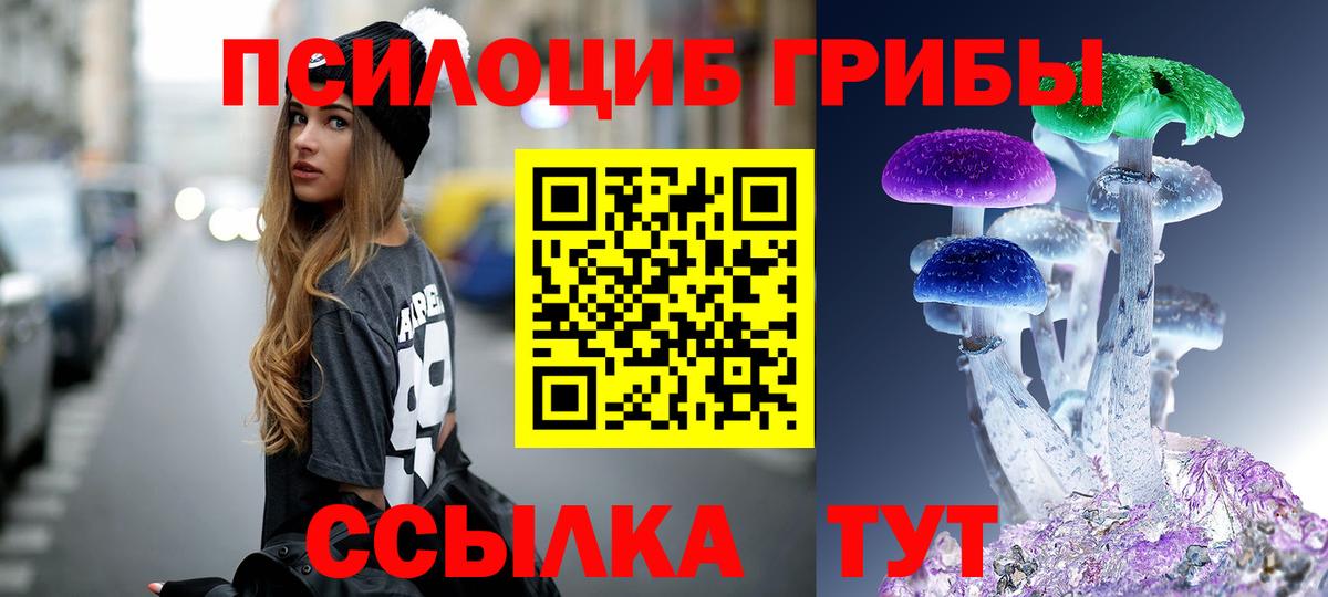 Карпинск  где купить наркотик  Вход с VPN  Галлюциногенные грибы Psilocybe 